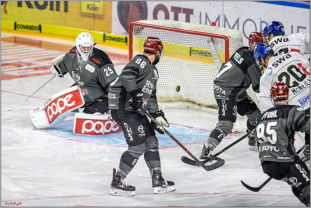 DEL Koelner Haie - Augsburg Panther, 14.09.2018